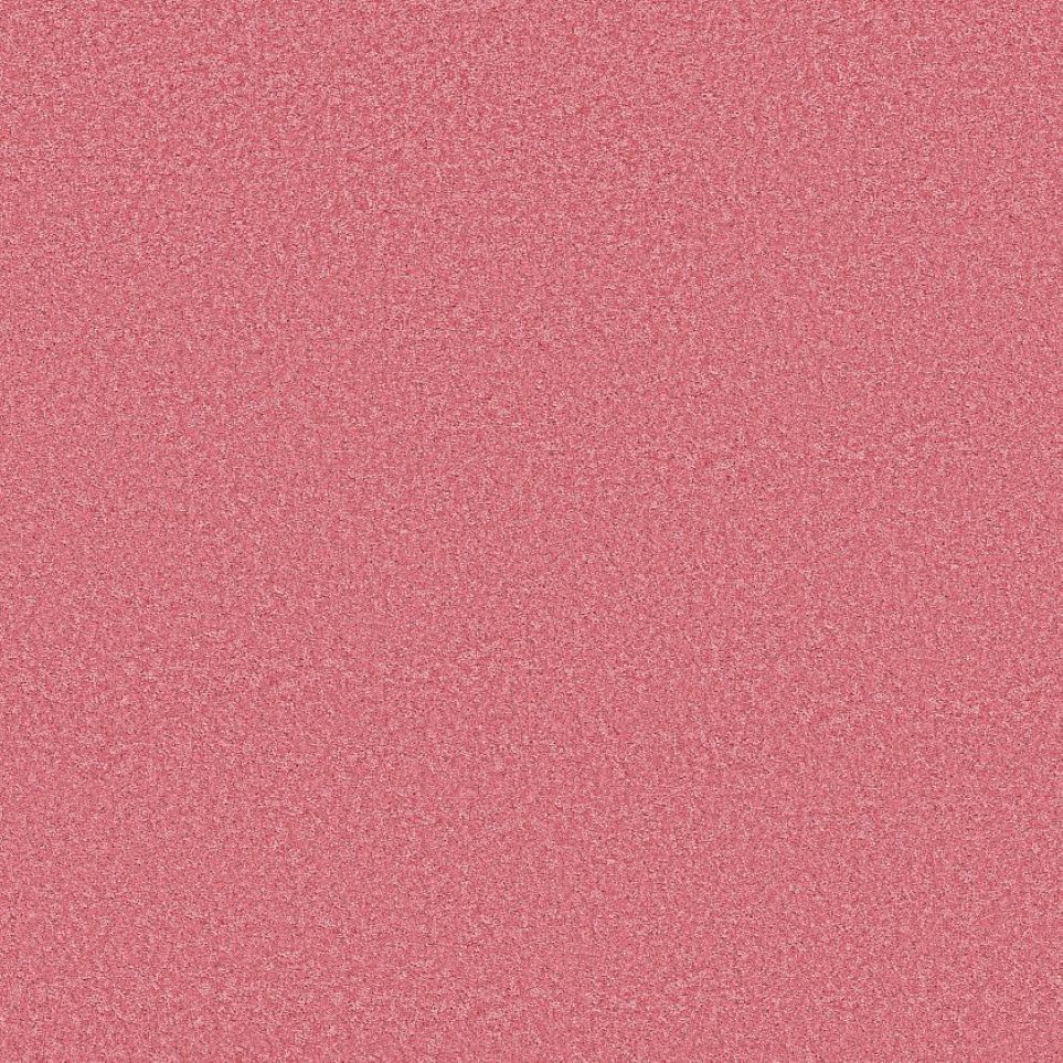 Image Alt Text